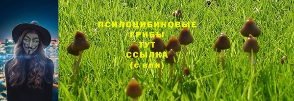 гидропоника Покровск