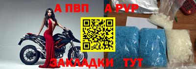 стаф Донской