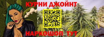 стаф Донской