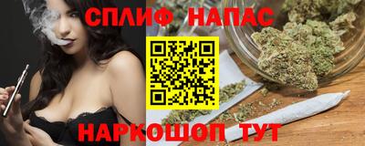 гидропоника Дубна