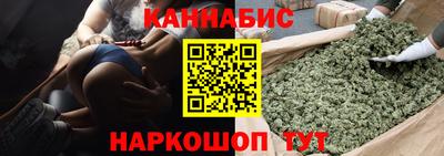 стаф Донской