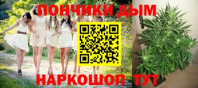 гидропоника Дубна