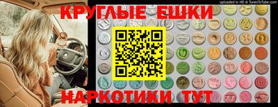 стаф Донецк