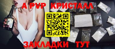 стаф Донской