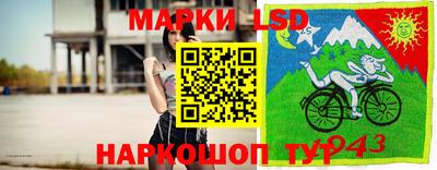 гидропоника Дубна