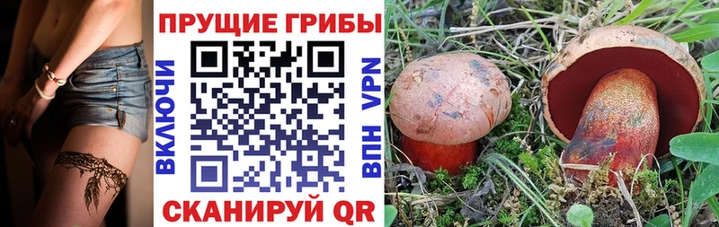 Псилоцибиновые грибы мицелий  Краснодар 