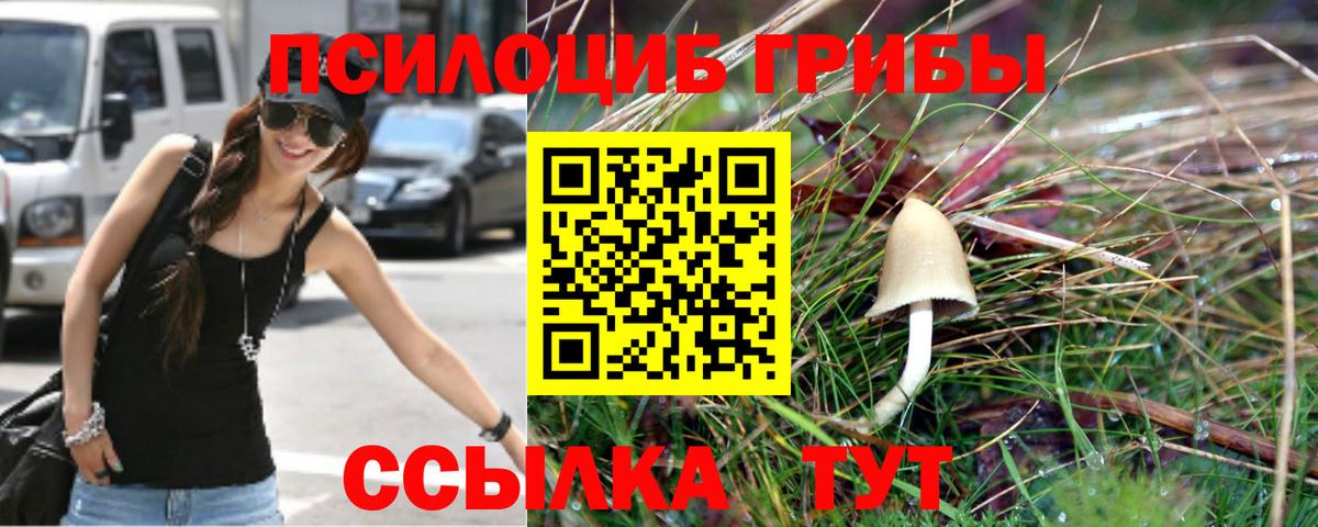 Галлюциногенные грибы Magic Shrooms Краснодар